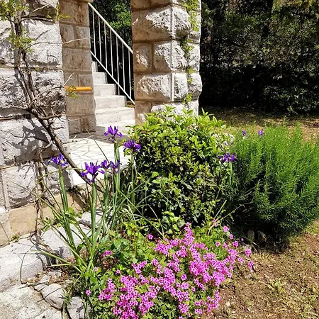 Lela Apartament *